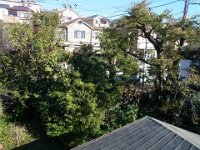 RIMG0266