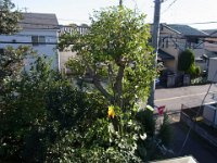 RIMG0269
