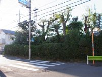 RIMG0272