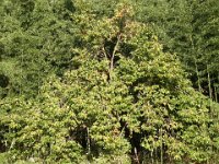 RIMG0345