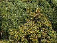 DSC03365
