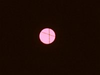 RIMG0011X
