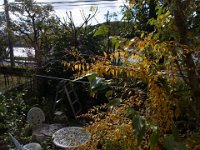 RIMG0062