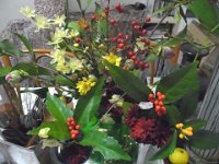 RIMG0121X