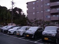 RIMG0142