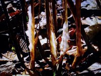 DSC03427