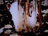 DSC03435