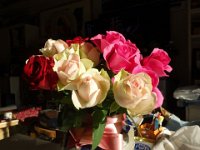 DSC03454