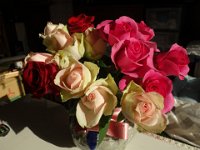 DSC03455