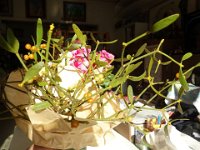 DSC03456
