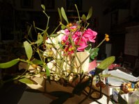 DSC03458