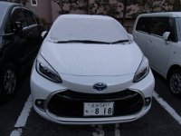 RIMG0665