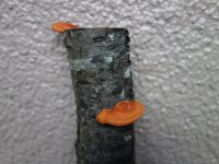 20211229
