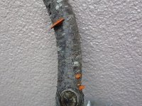 DSC03472