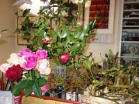 DSC03480