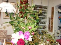 DSC03481