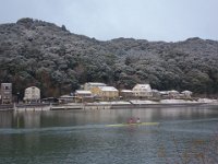 DSC03594