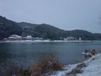 DSC03619