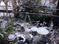 DSC03629