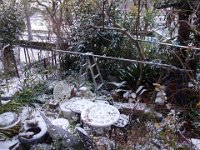 DSC03630