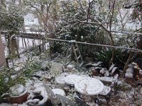 DSC03631