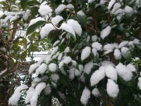 DSC03633