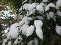 DSC03637