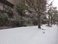 DSC03638