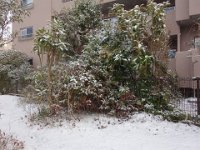 DSC03640