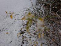 DSC03646
