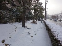 DSC03648
