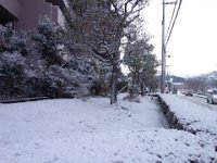 DSC03688