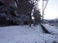 DSC03689