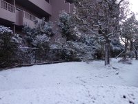 DSC03690