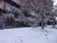 DSC03691