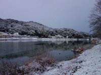 DSC03696