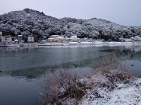 DSC03697