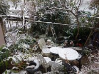 DSC03701