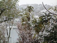 DSC03705