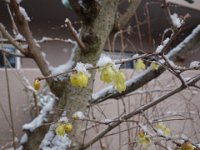 DSC03707