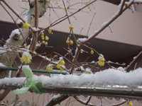 DSC03708