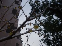 DSC03710