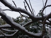 DSC03712