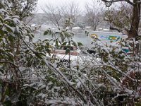 DSC03719
