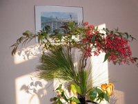 RIMG0774