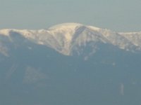 RIMG0786