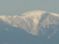 RIMG0787