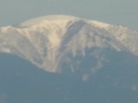 RIMG0788