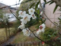 DSC03907