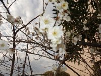 DSC03911